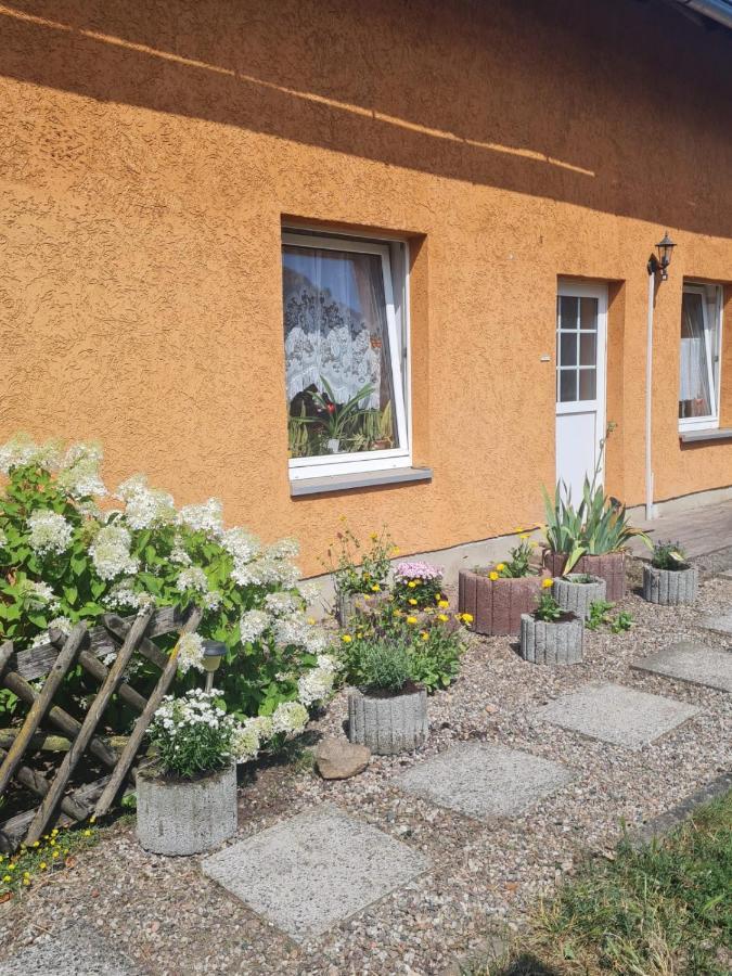 Ferienwohnung Warnitz Blankenburg  Экстерьер фото